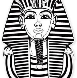 Meet your Posher, Deandre